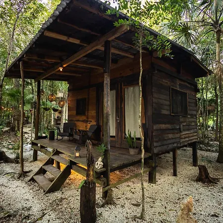 Cheel Lodge & Camping