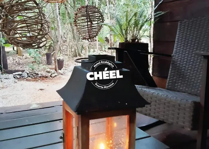 Cheel &