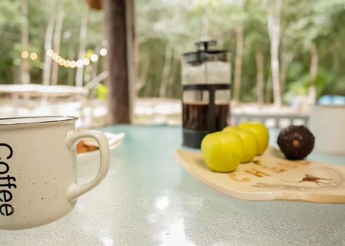 Lodge Cheel & Puerto Morelos