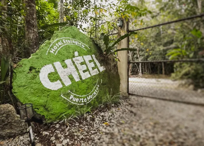 Cheel & Lodge *