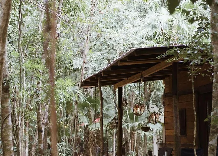 Lodge Cheel &